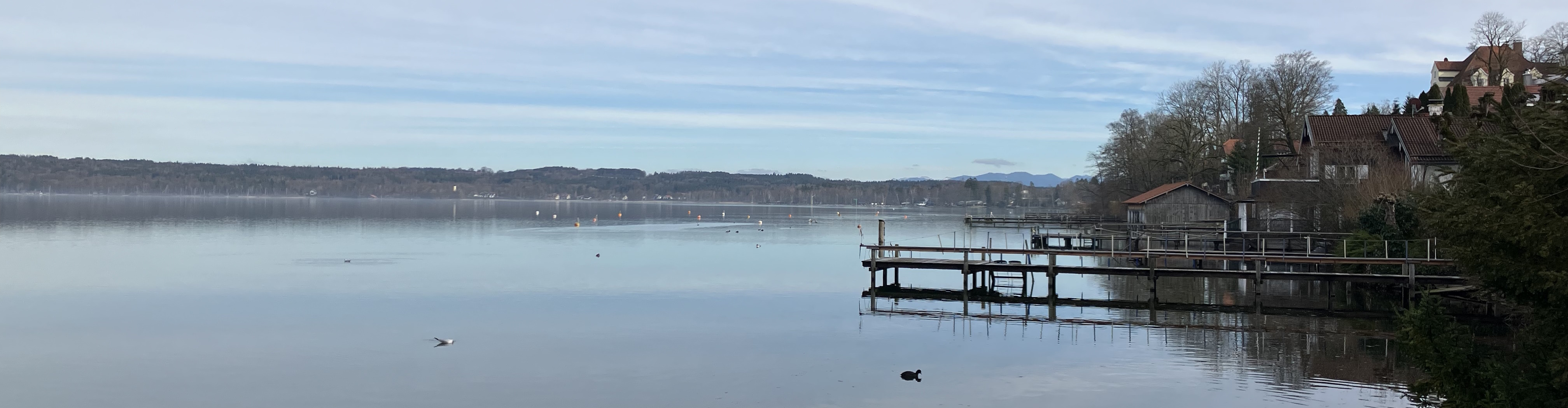 Header01.jpg