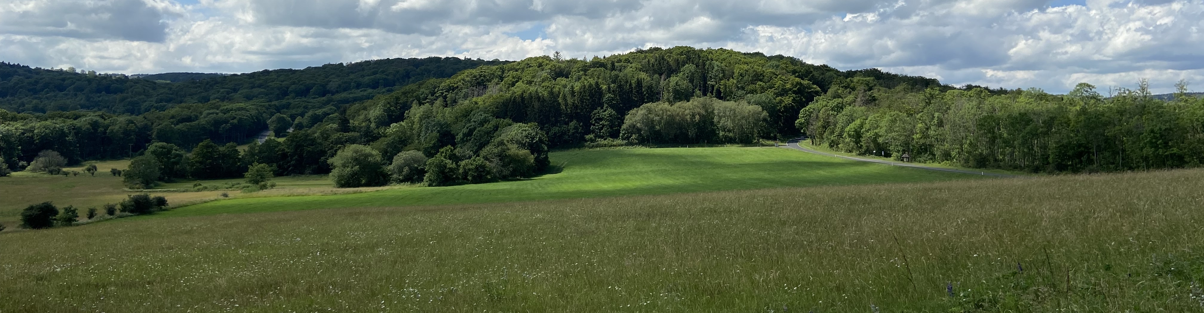 Header02.jpg
