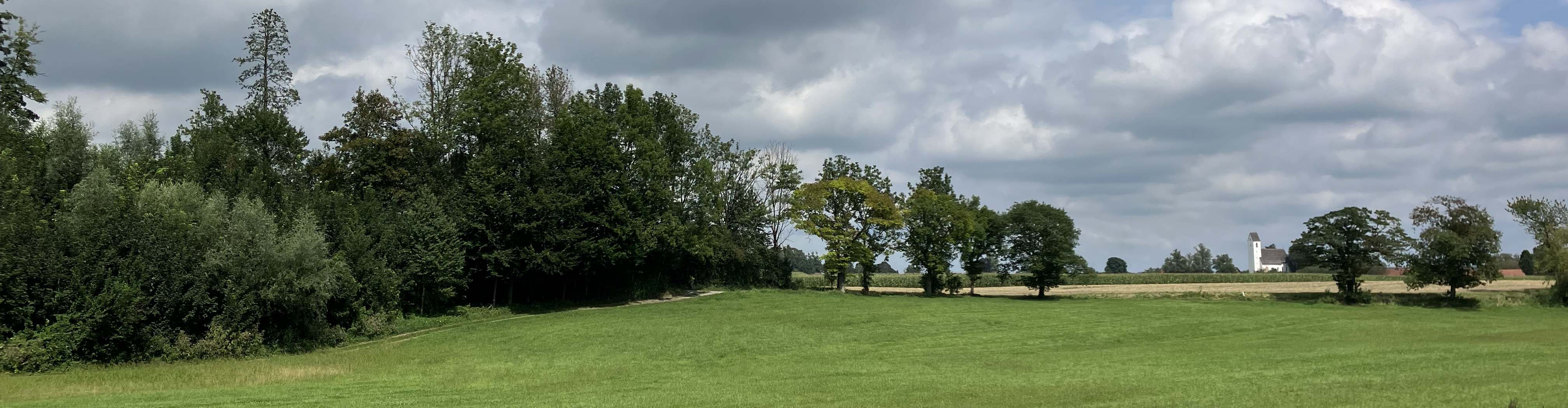 Header06.jpg